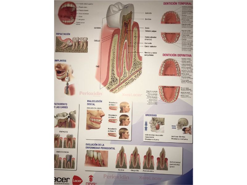 Vega's Dental Solutions clinic view 9